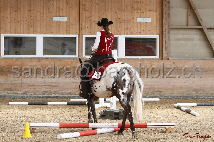 28-ApHC OT_269.jpg